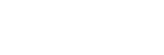 light logo